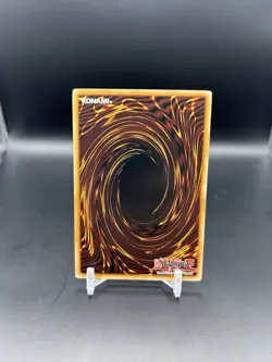 Gladiator Beast Darius - PTDN-EN031 - Common - Unlimited Edition YuGiOh! NM - Image 3