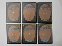 6 (FOIL) Full Art Basic Lands MTG Assorted Card Lot - Image 2