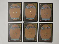 6 (FOIL) Full Art Basic Lands MTG Assorted Card Lot - Image 2