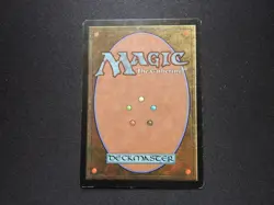 Steal Enchantment HP [Tempest] #2 Mtg Magic Free Tracking! - Image 2