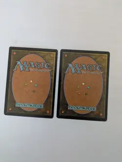 2 Jawari Shapeshifter Worldwake MTG NM Free shipping with tracking - Image 2