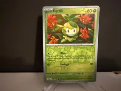 2025 Pokemon TCG Petilil 006 S&V Black Bolt Reverse Holo Card NM+ - Image 1