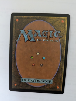 Misty Rainforest Zendikar MTG NM Free shipping with tracking - Image 2