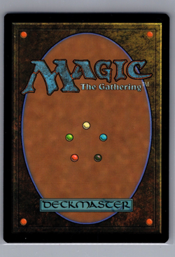 Secret Lair Tidus’s Brotherhood Sword Final Fantasy Rainbow Foil MTG 1867 Mythic - Image 3