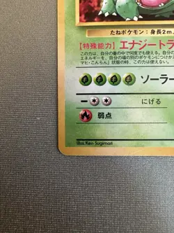 Venusaur CD Promo Japanese Pokemon Card Game TCG Holo Rare SWIRL No.003 LP - Image 5