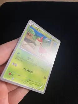 Wurmple 128/XY-P MINT/NM Pokemon Card Vintage Japanese Rare Stamped Gym Promo - Image 2
