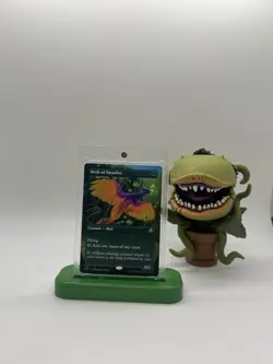 Birds of Paradise (Borderless) - Dominaria Remastered (DMR) NM MTG - Image 1