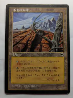 WASTELAND - Japanese Black-Bordered Tempest MTG Magic: the Gathering - Image 1