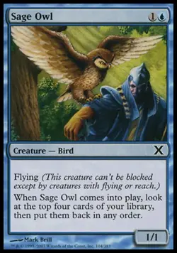 Sage Owl -Foil Light Play MTG 10th Edition - Image 1