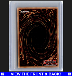 Hidden Fangs of Revenge 2020 Yugioh Brother of Legend 1st Edition Foil NM UR - Image 2