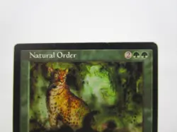 Natural Order Magic the Gathering MTG Visions Regular Rare Card MP - Image 2