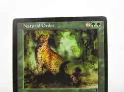 Natural Order Magic the Gathering MTG Visions Regular Rare Card MP - Image 4