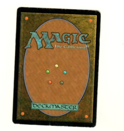 Kodama’s Reach #225 Champions Of Kamigawa Magic the Gathering Card - Image 2