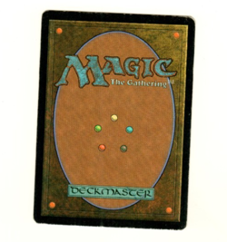 Kodama’s Reach #225 Champions Of Kamigawa Magic the Gathering Card - Image 4