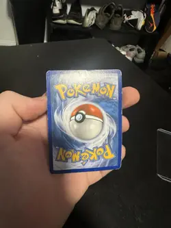 Pokemon M Gengar EX XY166 XY Promos Holo - Image 4