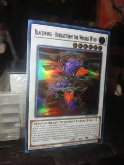 Yugioh Blackwing - Boreastorm the Wicked Wind (Ultra Rare 1st Ed) MP23-EN188 P - Image 1