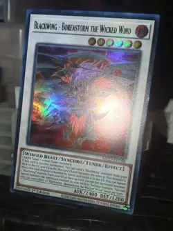 Yugioh Blackwing - Boreastorm the Wicked Wind (Ultra Rare 1st Ed) MP23-EN188 P - Image 4
