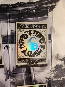 MTG Secret Lair Drop Bonus Card Island 0889 Swamp 0890 Mountain 0891 Plains 0888 - Image 5