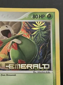 Pokemon 2005 EX-Emerald Breloom 22/106 Reverse Holo Stamped Card - Image 4