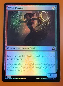 1x Wild Cantor | FOIL | Ravnica Remastered | MTG Magic Cards - Image 1