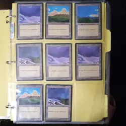 MTG Full Set of 15 Beta Limited Basic Lands Magic: The Gathering Played all art - Image 1