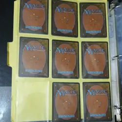 MTG Full Set of 15 Beta Limited Basic Lands Magic: The Gathering Played all art - Image 2