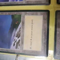 MTG Full Set of 15 Beta Limited Basic Lands Magic: The Gathering Played all art - Image 4