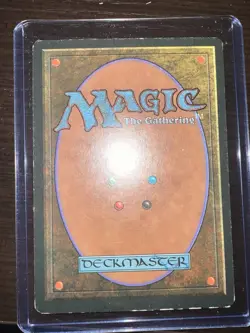 MTG Savannah Dual Land | Revised Edition | LP - Image 2