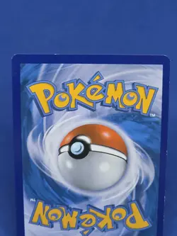 Eevee Reverse Holo 80/111 XY Furious Fists Pokemon Card Tcg Ccg 2014 - Image 5