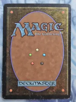 Varchild's War-Riders x 2 - Alliances - Magic the Gathering - MTG - Light Play - Image 3