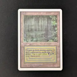 MTG \>> Bayou (LP) <<// Unlimited - 341 Trading - Magic - Image 1