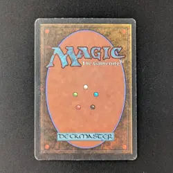 MTG \>> Bayou (LP) <<// Unlimited - 341 Trading - Magic - Image 2