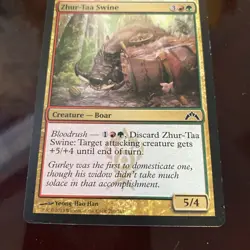 Zhur-Taa Swine (210) Gatecrash GTC (BASE) MP (MTG) TCG CARD TRADING - Image 2
