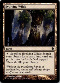 Evolving Wilds - 287 - Commander 2013 - Magic MTG - LP - Image 1