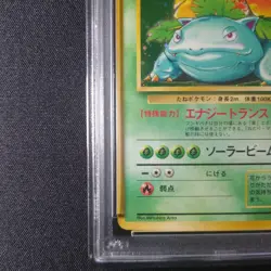 Fushigibana PSA 6 Old Back First Expansion Pack Pokemon Card One Owner - Image 5