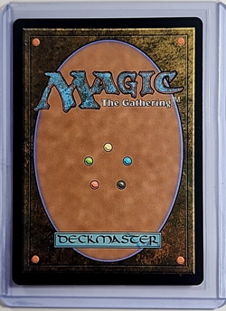 2023 MTG Magic the Gathering Secret Lair Drop Borderless #1222 Hexdrinker Mythic - Image 2