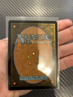 MtG - FOIL - Spire Garden - Zendikar Rising Expeditions - (ZNE) - NM - Image 2