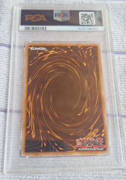 Yugioh PSA 10 Nature's Reflection ABPF-EN065 Absolute Powerforce 1st Edition - Image 2