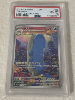 Pokemon Wailord 162/159 Illustration Rare Journey Together PSA 10 GEM MT Card - Image 3