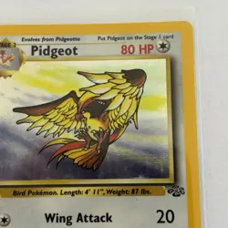 Pidgeot 8/64 Pokemon Card Holo Jungle WOTC 1999 LP Rare - Image 4