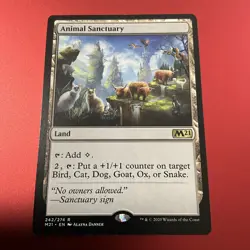 Animal Sanctuary #242 (NM) Core Set 2021 M21 Magic MTG - Image 2