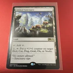 Animal Sanctuary #242 (NM) Core Set 2021 M21 Magic MTG - Image 1