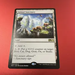 Animal Sanctuary #242 (NM) Core Set 2021 M21 Magic MTG - Image 2