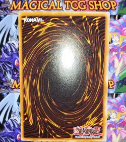 Yugioh Seiyaryu Dark Duel Stories Prismatic Secret Rare Promo DDS-004 Konami - Image 4