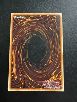 Neo the Magic Swordsman - YSYR-EN005 - YuGiOh-LP - Image 2