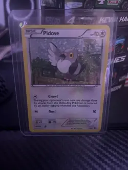 Pokemon TCG Pidove McDonald's Promos Holo Card 11/12 McDonald's Promos - Image 1