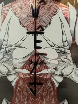 NEW MTG Phyrexia All Will Be One FOIL Promo POSTER Magic Gathering Framed! - Image 3