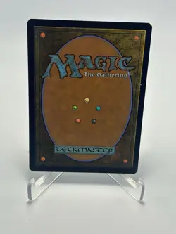 Mirror Box Kamigawa: Neon Dynasty Magic: The Gathering Card Showcase - Image 2
