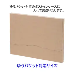 Shipping Included. Made In 1997 Pokemon Carddass Station System File / Yu-Packet - Image 4
