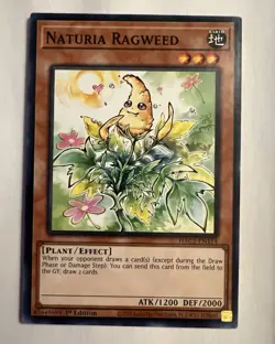 Naturia Ragweed - HAC1-EN114 Yugioh Hidden Arsenal - 1st Edition - Near Mint - Image 1